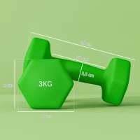 SPORTNOW Set 2 Manubri 3 kg Esagonali e Antiscivolo per Casa e Palestra, in Metallo e Plastica, 18x8x8 cm, Verde(m-3)