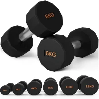 SPORTNOW Dumbbells Weights Set with 12-Sided Shape and Non-Slip Grip for Men Women Home Gym Workout, 2 x 6kg(m-11)