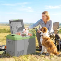 Outsunny 24,2 Liter Camping-Kühlschrank, Autokühlschrank, Kühlbox mit LED-Licht, AC- und DC-Adapter, leiser Betrieb, Grau+Grün(m-8)