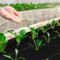 Outsunny Telo per Pacciamatura 2x25 m per Orto, Serra e Giardino, Drenante e Traspirante, Nero(m-10)