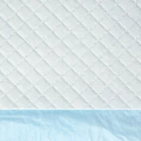PawHut Set 80 Covorașe Igienice pentru Câini, 6 Straturi, Material Nețesut, Hârtie și PE, 60x60 cm, Albastru și Alb(m-8)