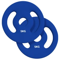SPORTNOW 2x5 kg Placas de Peso com Pegadas Práticas Conjunto de Pesos para Casa Ginásio Treino de Força Azul(m-6)