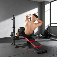 SPORTNOW Adjustable Weight Bench with Squat Rack and Dip Stand(m-10)