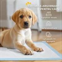 PawHut Set 80 Covorașe Igienice pentru Câini, 6 Straturi, Material Nețesut, Hârtie și PE, 60x60 cm, Albastru și Alb(m-4)