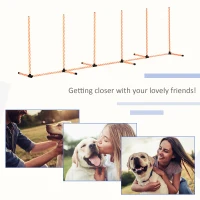 PawHut Dog Agility Equipment Pet Outdoor Training Play Run Obstacle w/ 6 Weaves Poles Whistle Carrying Bag(m-6)