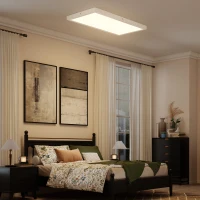 HOMCOM Set 2 Plafoniere LED Subțiri și Minimaliste cu Culoare Reglabilă, din Oțel și Plastic, 60x30x3.7 cm, Alb(m-9)
