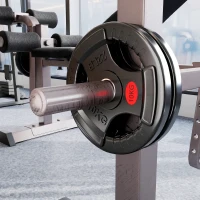 SPORTNOW Set Discuri Greutăți 2 x 10 kg cu Orificiu de 5 cm și 3 Mânere, Oțel cu Acoperire din Plastic, Negru(m-9)