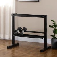 SPORTNOW Porta Pesi con 2 Ripiani in Acciaio per Palestra, Casa e Ufficio, 94x52.5x82cm, Nero(m-10)