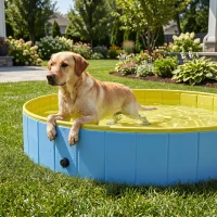 PawHut Faltbarer Hundepool für Große und Extra Große Hunde, mit Anti-Rutsch-Boden für Enten, Innen- und Außen, 160x30cm(m-8)