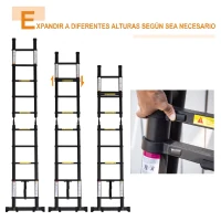 DURHAND Scară telescopică pliabilă cu 10 trepte din aluminiu și metal pentru interior și exterior, 320x67x7 cm, negru(m-9)