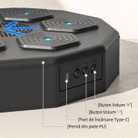 SPORTNOW Mașină de box muzicală montată pe perete, cu conexiune Bluetooth și lumini albastre, 40x40 cm, negru(m-6)