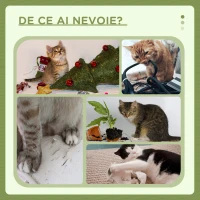 PawHut Ansamblu de joacă pentru pisici cu pat, 2 bile, platformă și stâlp din sisal, verde și alb(m-6)