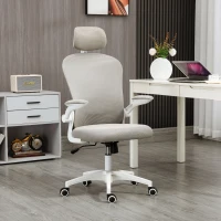 Vinsetto Multi-Adjustable Office Chair, with Lumbar Support, Headrest and Mesh Back - Grey(m-10)