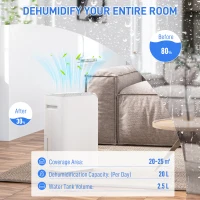 HOMCOM 20L/Day Dehumidifier, with Filter - White(m-4)