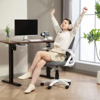 HOMCOM Atmungsaktiver Mesh-Bürostuhl, Ergonomischer Drehstuhl mit klappbaren Armlehnen und Lendenwirbelstütze, Grau(m-9)