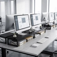 HOMCOM Suport Monitor Birou, Ridică din Lemn cu 2 Compartimente pentru Depozitare, Negru(m-9)
