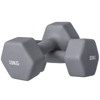 SPORTNOW Set 2 Manubri Esagonali da 2x10 kg in Metallo e Plastica con Impugnatura Antiscivolo, 26x12x12 cm, Grigio(m-1)