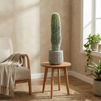 HOMCOM Cactus Artificial 66 cm, Planta Artificial Decorativa con Maceta para Decoración del Interior Verde(m-9)