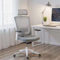 HOMCOM Scaun de Birou Ergonomic și Respirabil cu Suport Lombar Dinamic 4D, 64.5x62.5x112-122 cm, Multicolor(m-10)