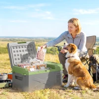 Outsunny Glacière électrique portable 16,3L, réfrigérateur de voiture portable congélateur et réfrigérateur 12/24V gris(m-8)