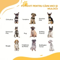 PawHut Uşa de Siguranţă pentru Câini, Barieră pentru Animale de Companie cu Ușă Mică pentru Pisici, 74-100x76 cm, Alb(m-4)