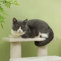 PawHut Dog Steps for Bed 4 Step Pet Stairs for Sofa Dog Cat Climb Ladder 63x43x60 cm Cream(m-9)
