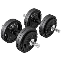 SPORTNOW Pesi per Palestra 2 in 1 da 42 kg con 14 Dischi, Bilanciere e Manubri, in Acciaio, 180x24x24 cm, Nero(m-1)