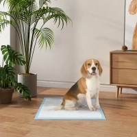 PawHut Empapadores para Perros 80 Unidad 60x60 cm Diseño de 6 Capas con Superficie de Secado Rápido a Prueba de Fugas Azul(m-10)