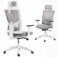 HOMCOM Scaun de Birou Ergonomic și Respirabil cu Suport Lombar Dinamic 4D, 64.5x62.5x112-122 cm, Multicolor(m-11)