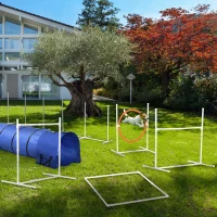 PawHut Six-Piece Dog Agility Equipment Set, with Carry Bag - Multicoloured(m-10)