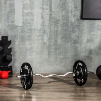 SPORTNOW Set di 2 Dischi Pesi da 20kg in Acciaio con Rivestimento in Gomma per Bilanciere(m-10)