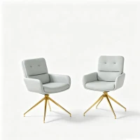Chaise pivotante de salle, manger style luxe léger européen, lot de 2, patins antidérapants, 55x50x85 cm, Gris clair(m-2)