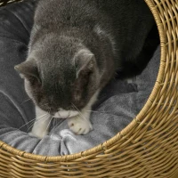 PawHut Rattan Kattenhuis met Wasbaar Kussen - Lichtbruin(m-8)