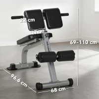 SPORTNOW Bancă Romană Reglabilă și Pliabilă Multifuncțională, Capacitate 150 kg, Argintiu(m-3)