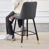 Lot de 2 tabourets de bar hauteur, design moderne et confortable, dossier incurvé et repose-pieds, 42x45x100 cm, Argenté(m-1)