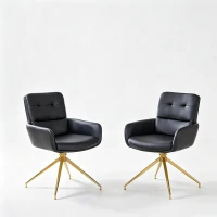Chaise pivotante de salle, manger style luxe léger européen, lot de 2, patins antidérapants, 55x50x85 cm, Noir+Or(m-2)
