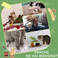 PawHut Albero per Gatti a forma di Cactus con Tiragraffi e 2 Palline da Gioco, 35x31x55.5 cm, Verde e Bianco(m-6)