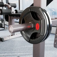 SPORTNOW Disques de Poids en Acier 20 kg, Finition PVC, Plaques de Poids 2 x 10 kg, 3 Poignées, Trous de Ø 50 mm, Noir(m-9)