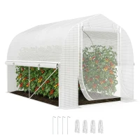 Outsunny 3 x 2 x 2 m polytunnelkas met oprolbare zijwanden, UV-bestendige kunststoffolie en stalen frame, Wit(m-11)