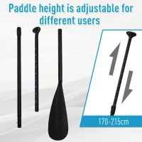 HOMCOM Inflatable Stand Up Paddle Board, 10' x 30" x 4", Non-Slip SUP, with ISUP Accessories, Hand Pump, 1 Fin, Adj Paddle, Backpack for Youth Adult Beginners/Experts(m-8)