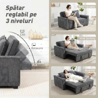 HOMCOM 3 în 1 Canapea Extensibilă 2 Locuri cu Spătar Reglabil în 3 Poziții și 2 Perne Chenille, Gri Închis(m-5)