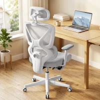 HOMCOM Ergonomic and Adjustable Office Chair - Grey(m-10)
