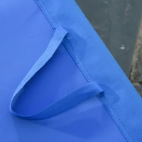 Outsunny Opvouwbare ligstoel met verstelbare rugleuning, roestvrij metalen frame, 187 x 55 x 24, Blauw(m-9)