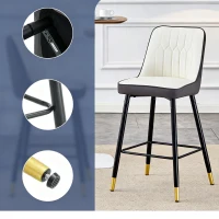Lot de 2 tabourets de bar hauteur, design moderne et confortable, dossier incurvé et repose-pieds, 42x45x100 cm, Argenté(m-8)