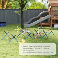 PawHut Kit d'équipement d'agilité pour chien, kit d'agilité pour chien portable avec hauteur réglable, sac de transport, orange(m-7)