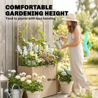 Outsunny Rattan Planter with Trellis, Raised Beds for Garden with Liner for Climbing Plants Vegetables Flowers, Light Grey(m-5)