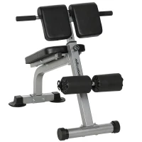SPORTNOW Panca Romana Regolabile e Pieghevole Multifunzione, Capacità 150 kg, Argento(m-11)