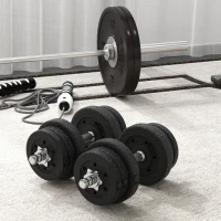 HOMCOM Set Manubri Palestra da 25 kg Totali con 12 Dischi Pesi e 2 Barre da 2 kg, Nero(m-9)