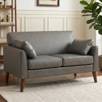 HOMCOM 2 Seater Sofa, 132 cm Modern Small Sofa with Solid Wood Legs and 2 Pillows for Small Space, Grey(m-2)