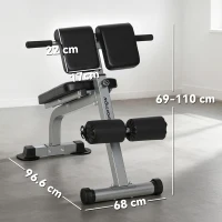 SPORTNOW Panca Romana Regolabile e Pieghevole Multifunzione, Capacità 150 kg, Argento(m-3)